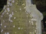 image of grave number 795244